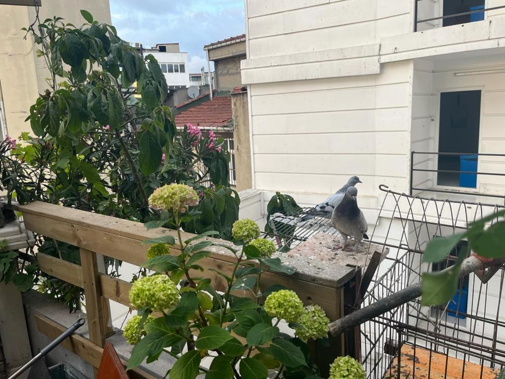 Central Apartment Kadikoy Terrace Bbq Close 2 Block Ferry Bull Metro Nighlife Istanbul Exterior photo